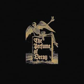 Perfume CD+DVD ALBUM &amp; SINGLE・VIDEO DVD CD Universal Sampler 46 BodyRockers Like The Way You Move